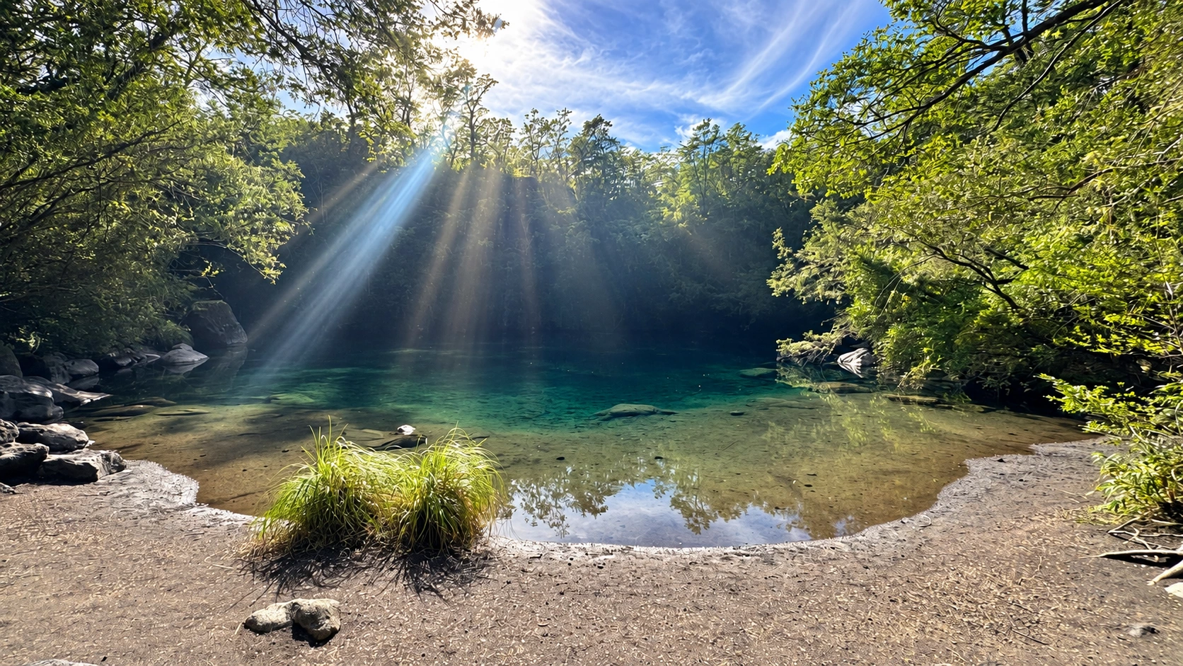 Rayos de sol entre los árboles sobre una poza de agua transparente